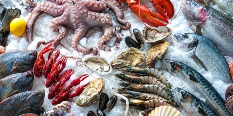 25 Tampa Bay fish shacks every seafood lover ought to visit as a minimum as soon as