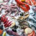 25 Tampa Bay fish shacks every seafood lover ought to visit as a minimum as soon as