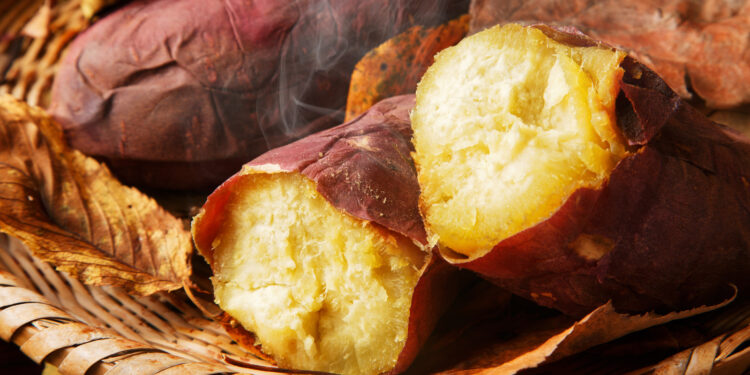 What Are Murasaki Sweet Potatoes