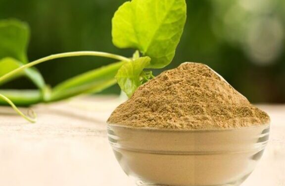 Future Shines Bright For The Alfalfa Extract Market