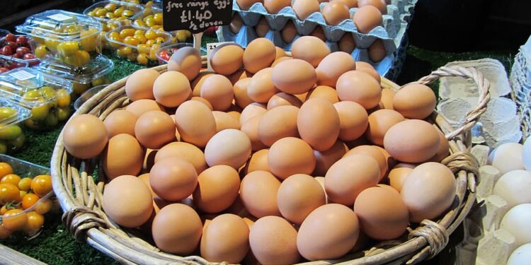 Organic Eggs Market: Profitable Strategic Report, Competitive Landscape, Industry Improvement, Status until 2028