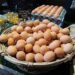 Organic Eggs Market: Profitable Strategic Report, Competitive Landscape, Industry Improvement, Status until 2028