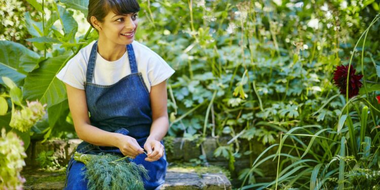 Meera Sodha: distinctive vegan and vegetarian recipes from her new e book
