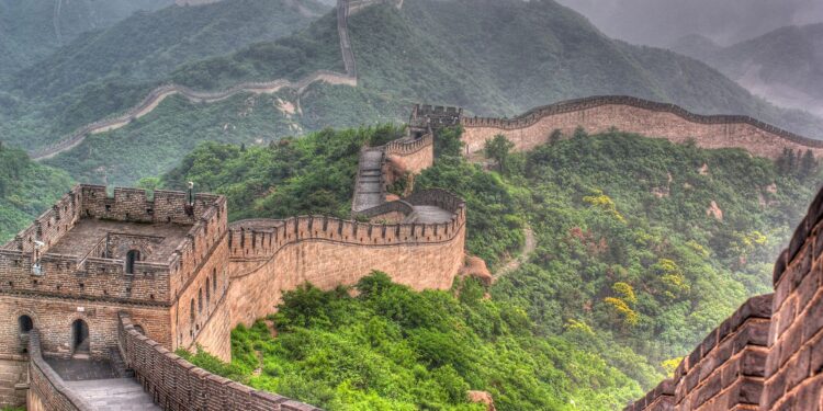 China’s international citizens: Growing wings within the international
